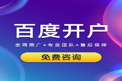 百度SEO推广策略：如何快速提升网站排名？——案例详解